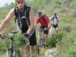 BTT12.jpg