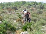 BTT17.jpg