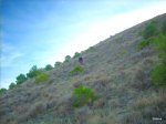 DSCN0427.JPG