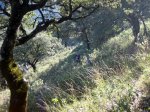 IMG_0799.JPG