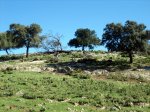 IMG_0803.JPG