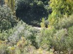 IMG_0819.JPG