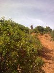 01112009_043 [Resolucion de Escritorio].jpg