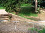 DSC07333.JPG