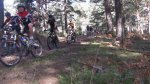 aniversario098.jpg