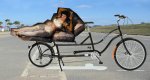 Bike y novia.jpg