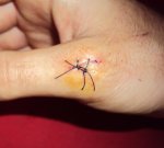 DSC00560 - copia.JPG