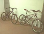 11012007324.jpg