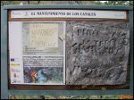 PB020130 (Copiar).jpg