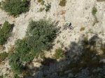 Imagen 068.jpg