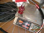 DSCN0091.jpg