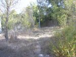 xSUC52450.JPG