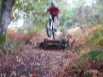 DSC03207.JPG