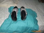 IMG_0260.jpg