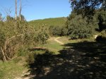 PB030309_resize.JPG