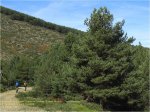 008_HdlS-PC-CM-3P.jpg