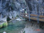 DSC00541.jpg