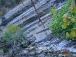 DSC00547.jpg