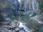 DSC00554.jpg
