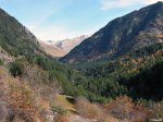 DSCN6311.jpg
