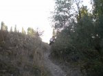 PA100061.jpg