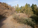 PA100068.jpg