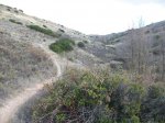 100_1481_resize.JPG
