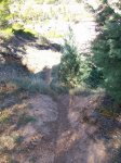 100_1484_resize.JPG