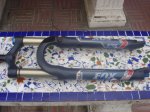 DSC05420.JPG