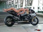 chicas_suzuki_gsxr_2.jpg