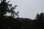 IMG_6282_972x648.jpg