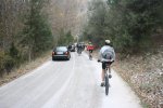 IMG_6307_972x648.jpg