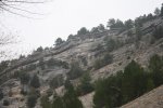 IMG_6323_972x648.jpg