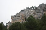 IMG_6325_972x648.jpg