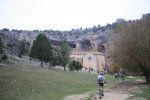 IMG_6342_972x648.jpg