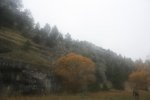 IMG_6394_972x648.jpg