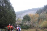 IMG_6403_972x648.jpg