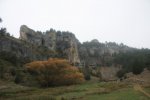 IMG_6406_972x648.jpg
