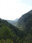 dsc00808.jpg