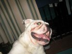 IMG_2316a.JPG