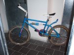 foromtb_005.jpg