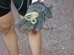 salida 01-11-09 055 [Desktop Resolution].jpg