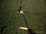 100_8217.JPG