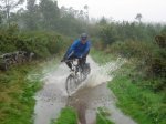 camino5.jpg