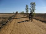 camino7.jpg