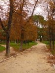 parque_del_Retiro_001.jpg