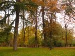 parque_del_Retiro_005.jpg