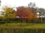 parque_del_Retiro_100.jpg