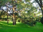 Parque del oeste.jpg