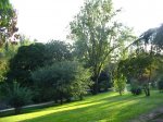 Parque del oeste 2.jpg